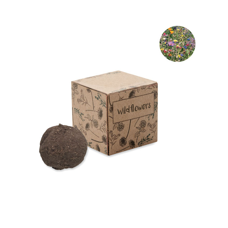 Kit di coltivazione in cartone