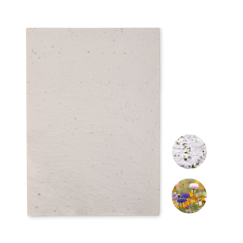 Foglio A4 in carta con semi