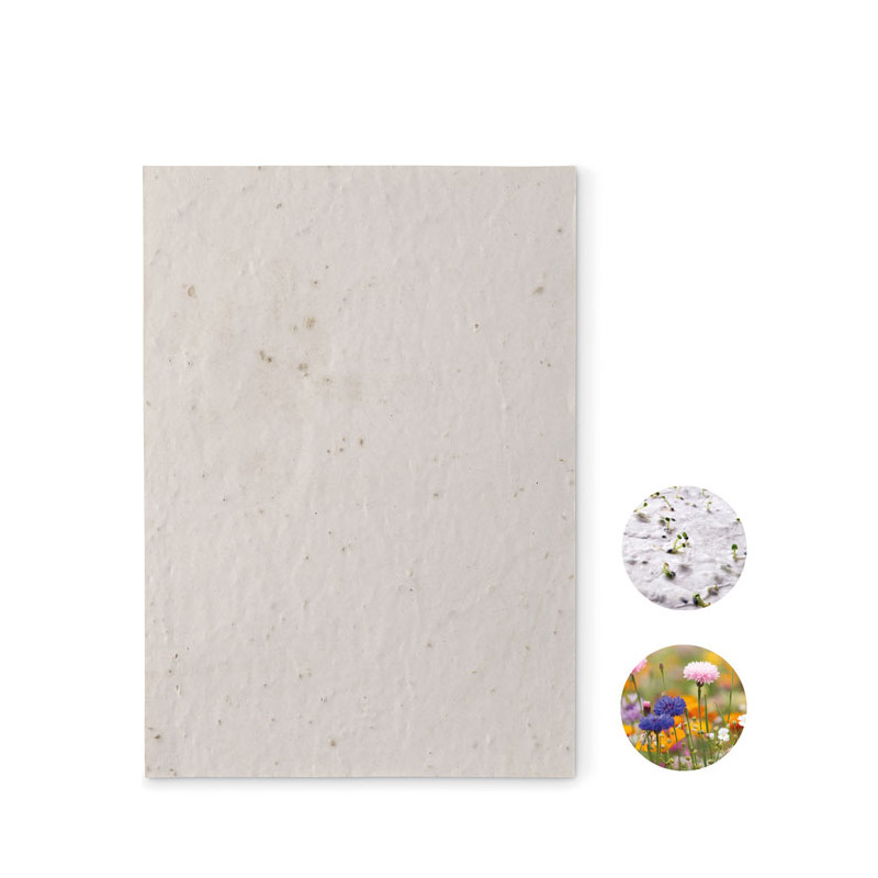 Foglio A5 in carta con semi