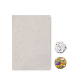 Foglio A6 in carta con semi