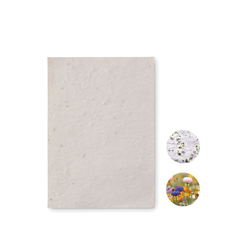 Foglio A6 in carta con semi