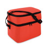 Borsa frigo 2 comparti