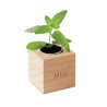Mini vaso in legno