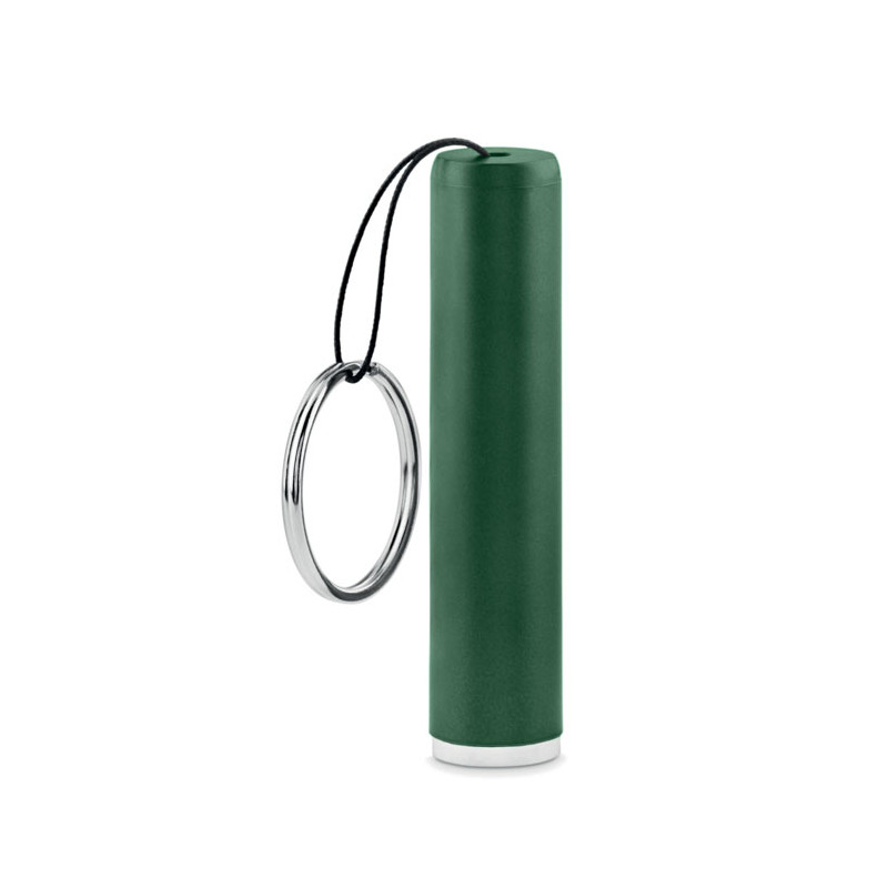 Torcia a LED in plastica