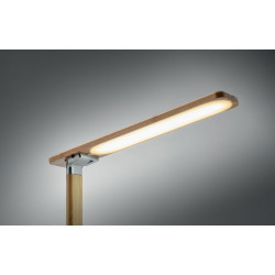 Luce da tavolo e caricatore 15W