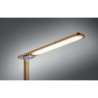 Luce da tavolo e caricatore 15W