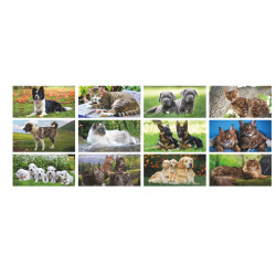 CALENDARIO CANI E GATTI 12 FG