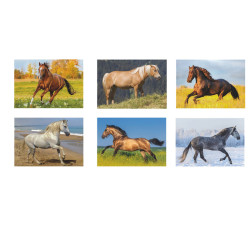 CALENDARIO CAVALLI 12 FG